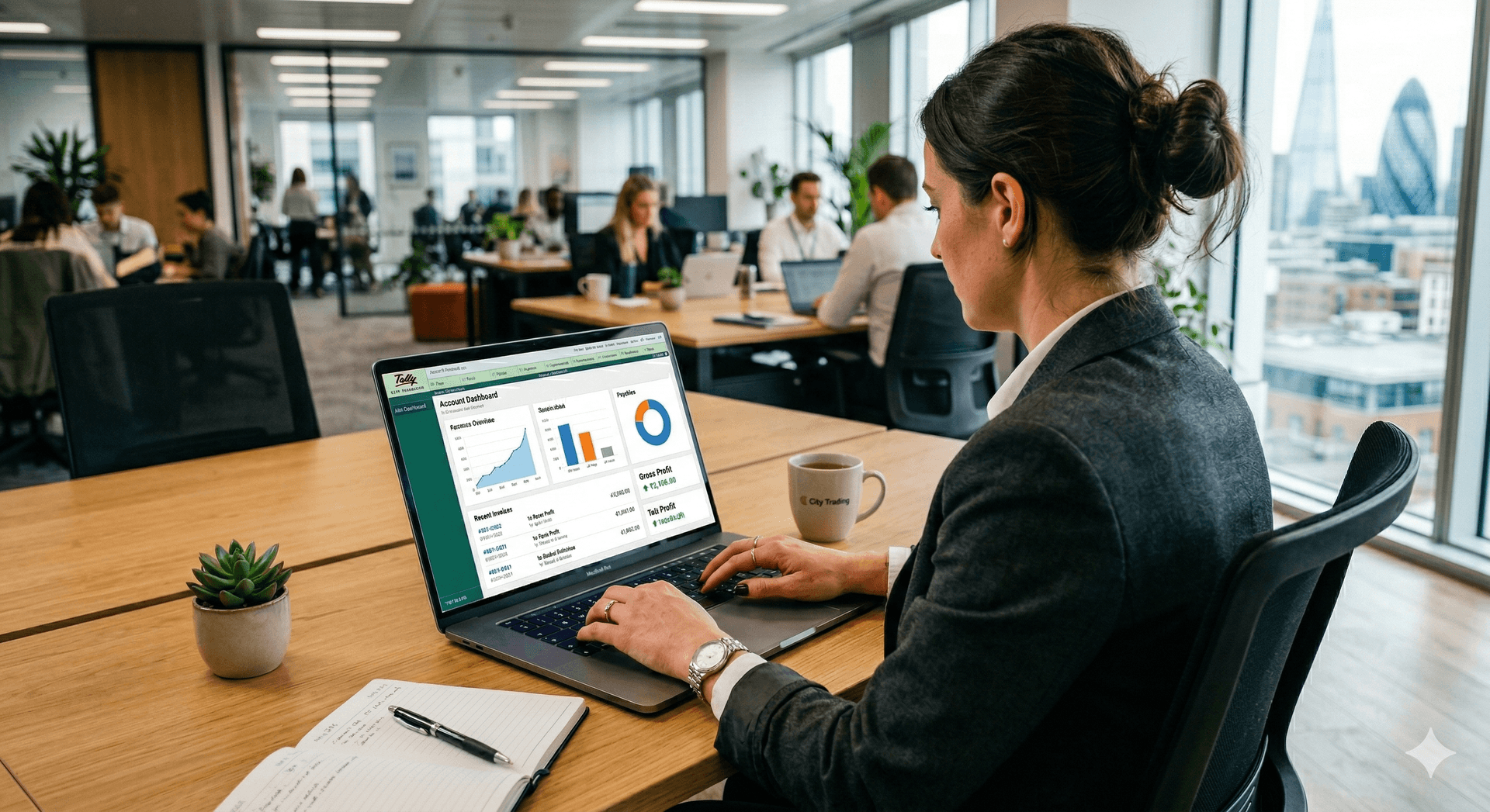 Professional Office Working
