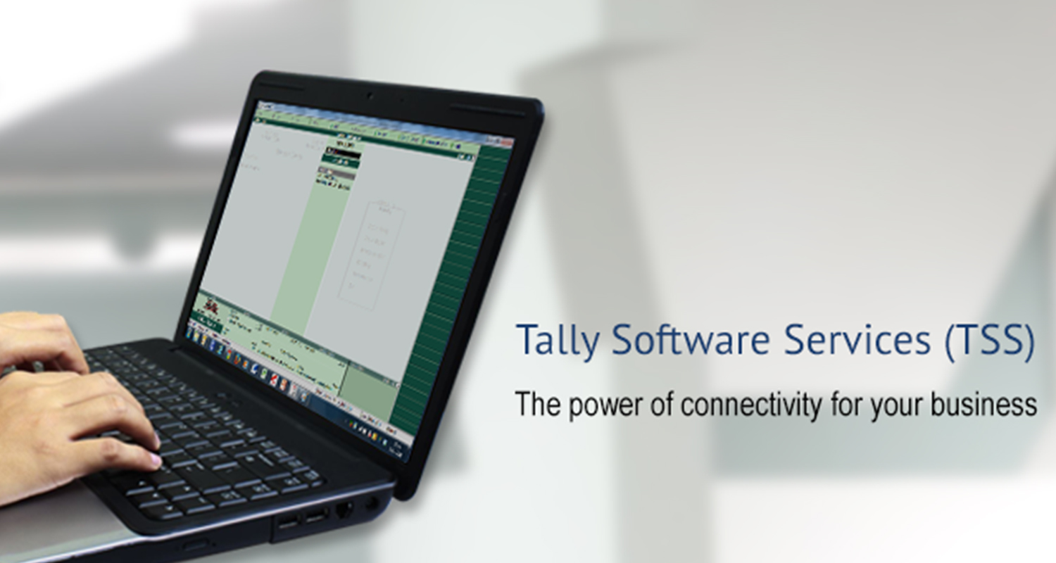 tally software services,tally services